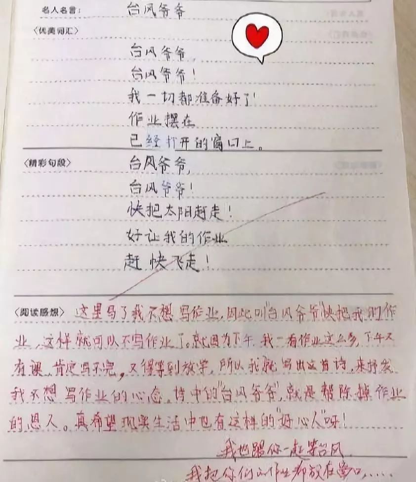 最新台风作文，小巷风味奇遇——隐藏版特色小店的台风日探秘