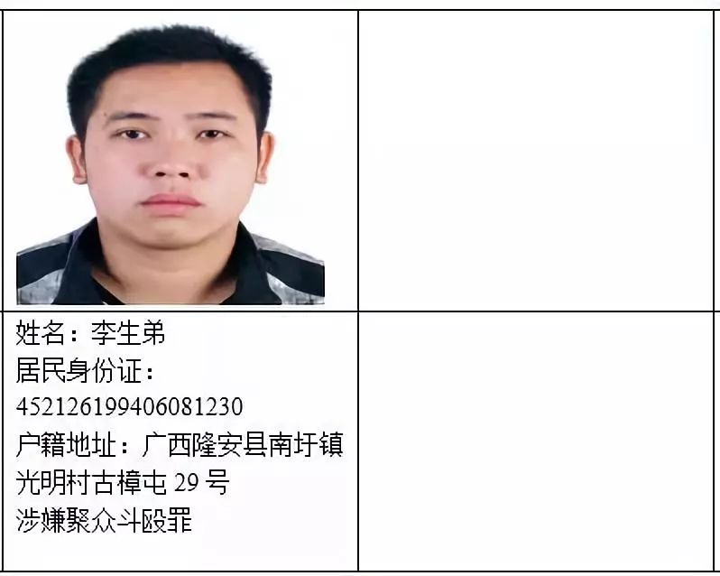 最新警方通缉与探险之旅，寻找内心的平和