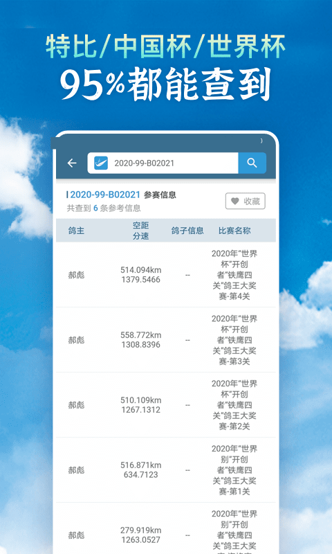足环号背后的故事与欢笑，比赛成绩与足迹的探寻之旅