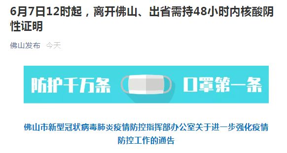 湛江最新通告，探索自然美景，寻找内心宁静与平和之旅